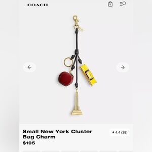 NWOT Small New York Cluster Bag Charm